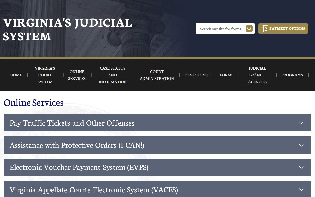 Virginia court search options for Richmond City criminal cases